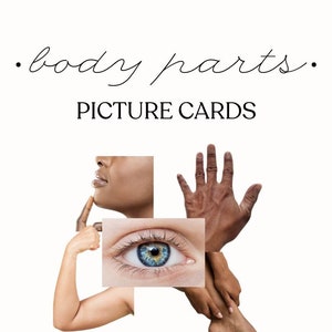 May include: A set of 66 printable picture cards featuring different body parts. The cards are 3 inches by 3 inches and are designed for instant download. The image shows a collage of a woman's eye, hand, leg, and face.