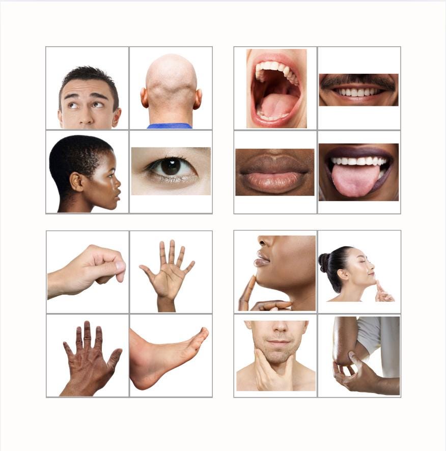 Body Parts Picture Cards for ABA - Digital Download - Etsy