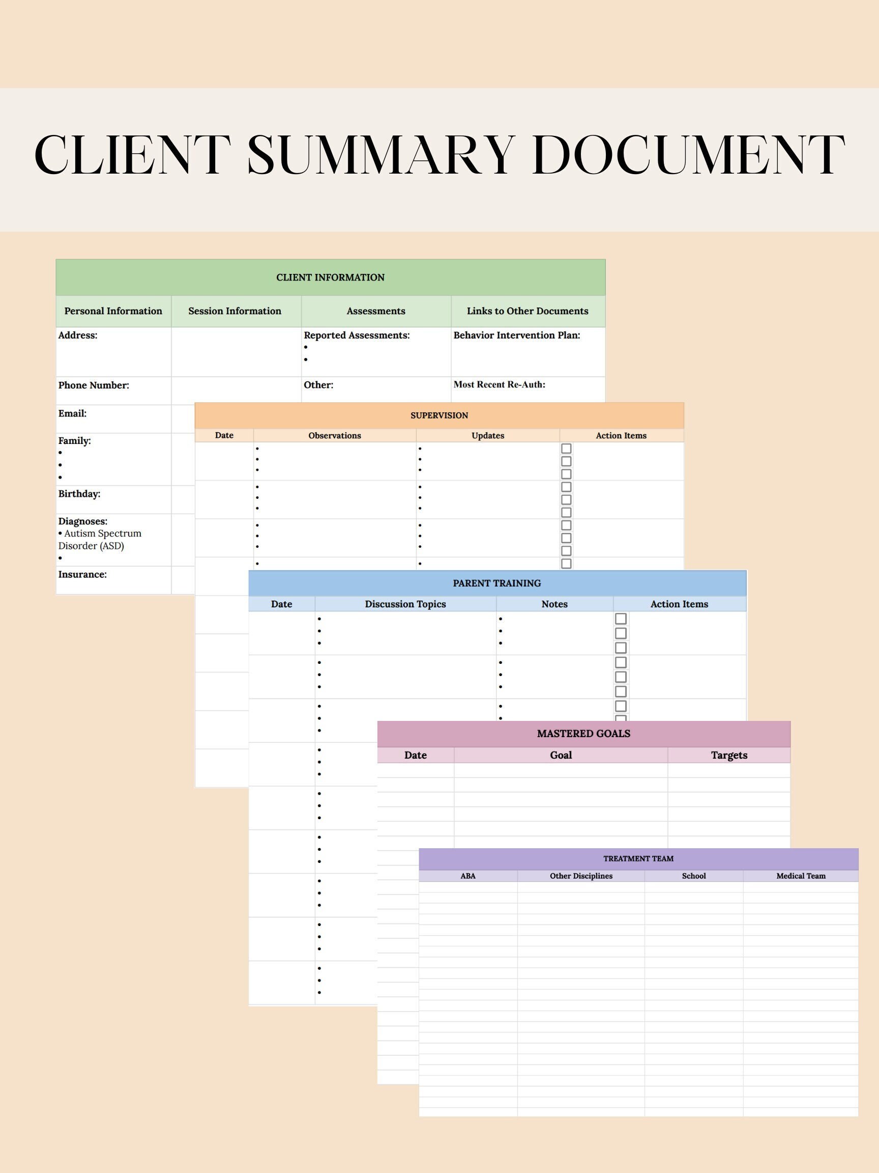 ABA Client Summary Document - Etsy