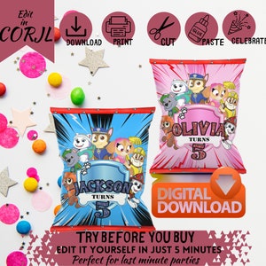 Personalized Glitter Kids Chip Bags | DIY Paw-ty | Girls/Boys |Blue/Pink | 11x8.5 Inch-Perfect for Last-Minute Parties!