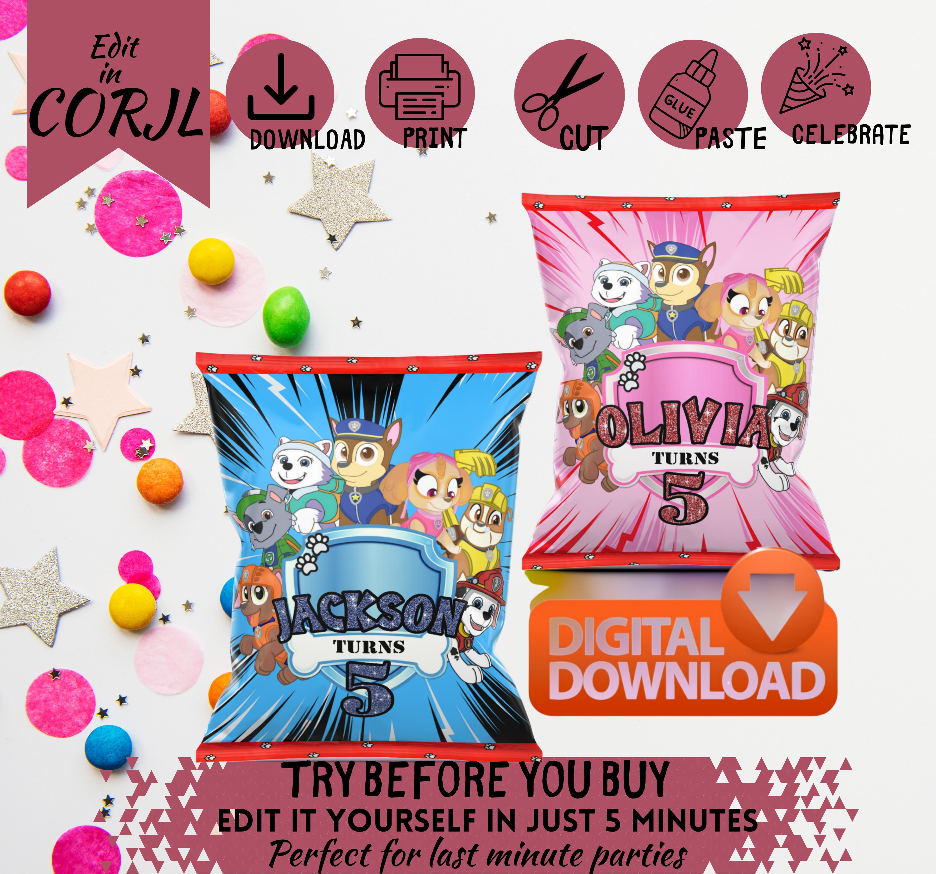 Nick Jr Paw Patrol Party Hats Printable Rush 24hr DIGITAL PAW PATROL Pink  Purple Girls Skye, image size:3000x2800