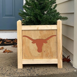 Texas Planter Box (Officially Licensed)
