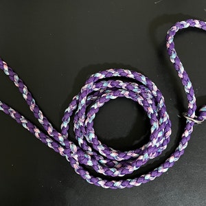 6-Foot Paracord Slip/Pull Lead