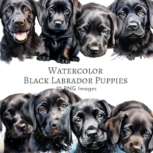 Clipart aquarelle chiots labrador noir PNG - TÉLÉCHARGEMENT NUMÉRIQUE