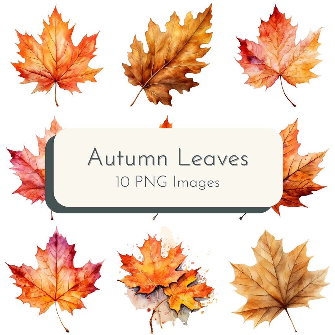 Watercolor Autumn Leaves PNG Clipart DIGITAL DOWNLOAD - Etsy