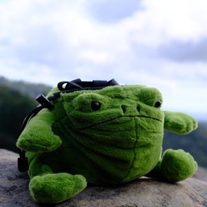 Frog Chalk Bag