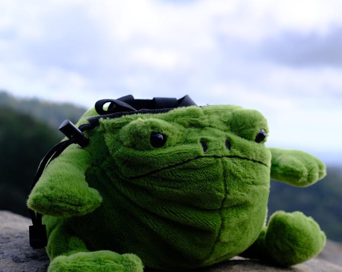 Frog Chalk Bag
