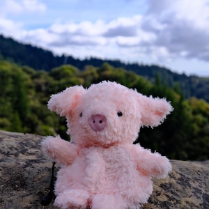Piggy Chalk Bag