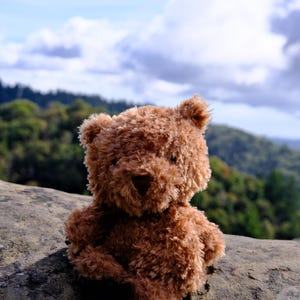 Bear Chalk Bag