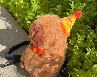 Sac à craie d'anniversaire Capybara