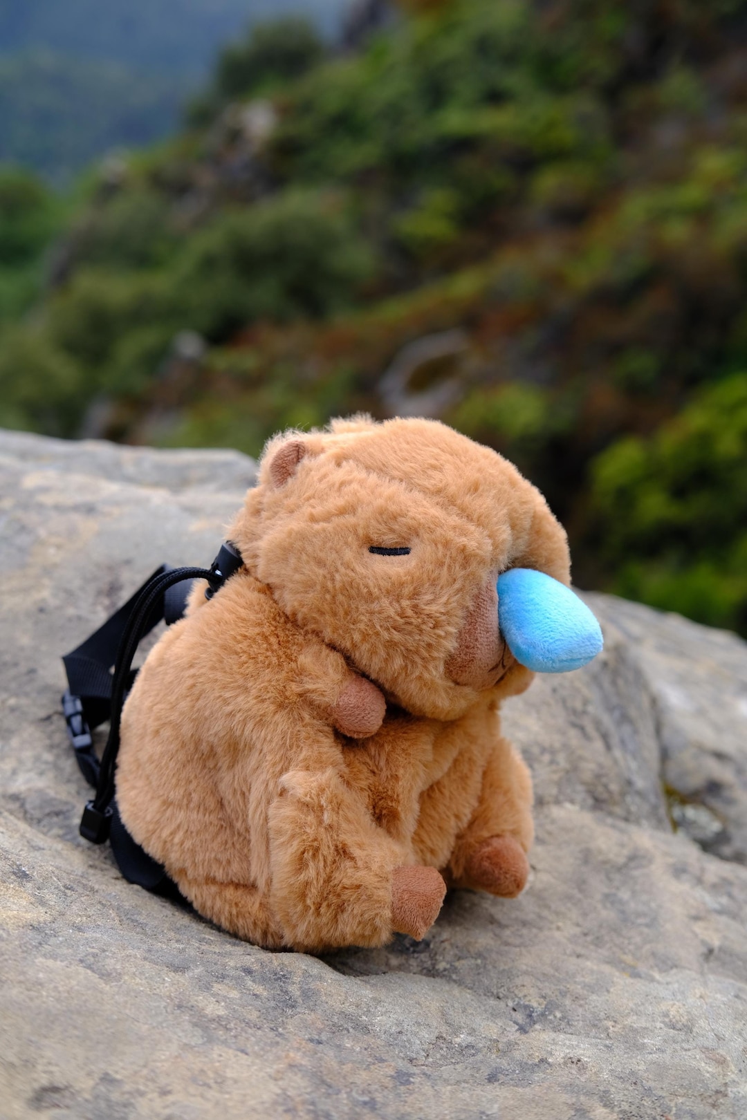 Capybara Snore Chalk Bag - Etsy