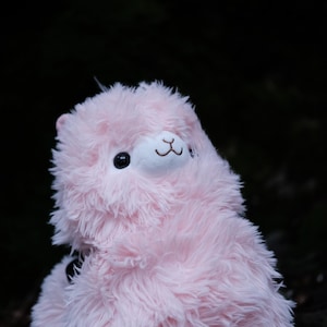 Pink Alpaca Chalk Bag