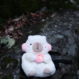 Capybara Snow Chalk Bag