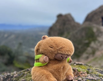 Capybara Chalk Bag