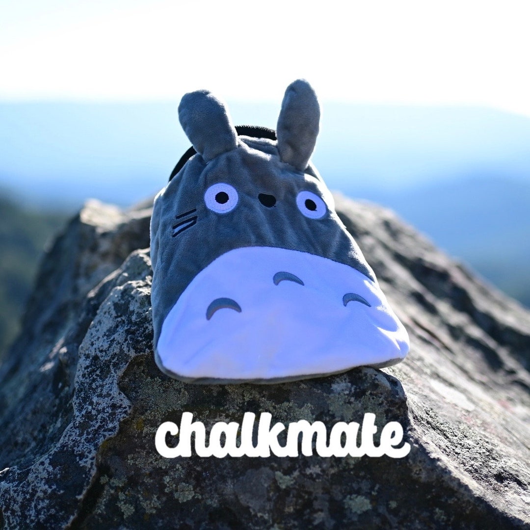 Totoro Chalk Bag Etsy