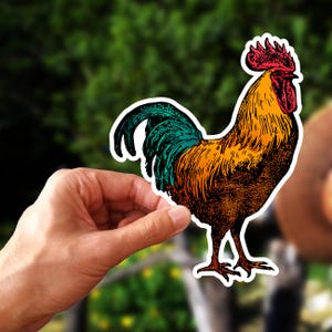 Pegatina de gallo vintage vibrante y colorido, decoración de granja, regalo para ella, pegatina de pollo para portátil, pegatina de nuevo amanecer, pegatina para funda de teléfono