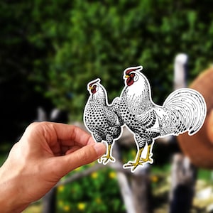 Colorful Rooster and Hen Kiss-Cut Stickers Vibrant Animal Couple Decals Farmhouse Chicken Lover Vinyl Decals Cute Chicken Stickers