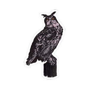 Pegatinas de búho majestuoso Pegatinas de naturaleza para portátil y botella de agua Regalo para amantes de la naturaleza Accesorios para diario Scrapbooking Conocimiento de pegatinas