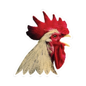 Colorful Vibrant Chicken Sticker Fun Animal Decal Bright Rooster Laptop or Phone Case Sticker Farmyard Chick Gift Cute Water Bottle Label