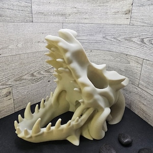 Dragon Skull Dice tower / Wall Hanger / DnD / Dice included!