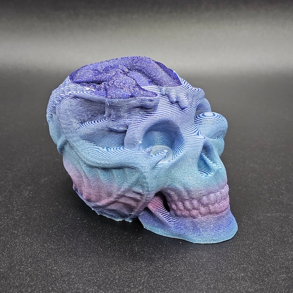 Dragon Skull Dump Buddy  / Reducing waste by recycling materials into unique and fun 3d prints! Each one is unique!