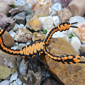 Escorpión / Hecho a mano / Paracord Escorpión / ¡Envíe un mensaje privado para solicitudes de personalización!