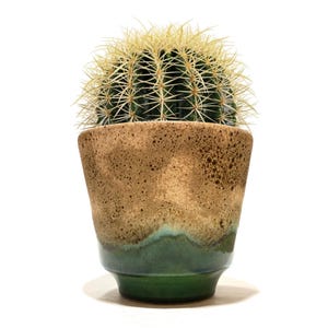 Può includere: Un cactus verde, rotondo e spinoso, con lunghe spine gialle affilate, è posizionato all'interno di un vaso in ceramica conico. Il vaso presenta uno smalto bicolore con una parte superiore beige sabbia maculata che sfuma in una base verde.