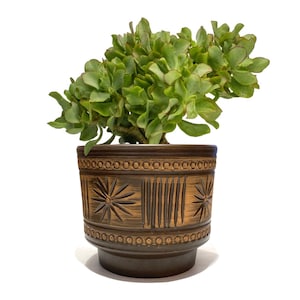Pode incluir: Uma planta suculenta verde em um vaso de cerâmica marrom. O vaso tem um padrão decorativo com motivos de estrelas e linhas verticais. O vaso tem aproximadamente 15 cm de altura e 15 cm de largura.
