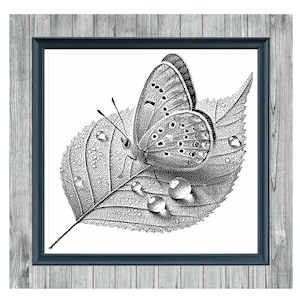 Può includere: Schema a punto croce monocromatico raffigurante una farfalla dettagliata posata su una foglia con goccioline d'acqua. L'opera è incorniciata in una cornice blu scuro, con il testo "LITTLE WORLD, Deep STILNESS 1" e "MONOCHROME CROSS STITCH PATTERN".