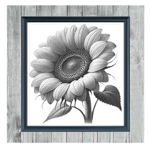 May include: Black and white cross stitch pattern of a sunflower. The pattern is titled "Sunflower" and "Monochrome Cross Stitch Pattern".