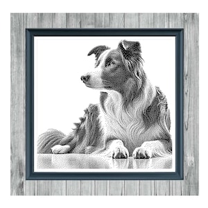 Może przedstawiać: Monochromatyczny wzór haftu krzyżykowego przedstawiający psa Border Collie w drewnianej ramie. Pies jest przedstawiony w szczegółowym wzorze kropek, z czarno-białym cieniowaniem. Tekst "BORDER COLLIE 3" znajduje się u góry, a "MONOCHROMATYCZNY WZÓR HAFTU KRZYŻYKOWEGO" u dołu.