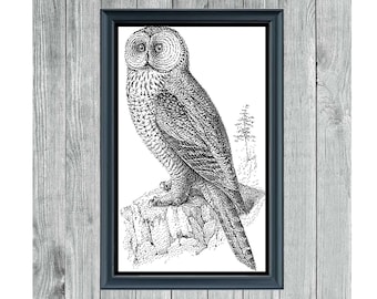Owl - Digital Monochrome Pattern - Cross Stitch - PDF - Instant Download - Pattern Keeper