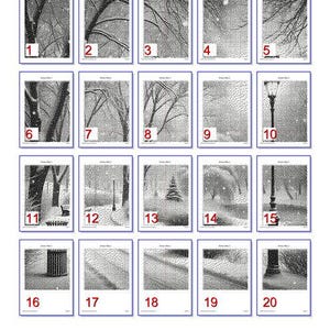 May include: A set of 20 black and white images, each depicting a different winter scene. The images are numbered 1 through 20.