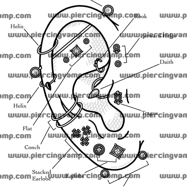 Ear Piercing Chart
