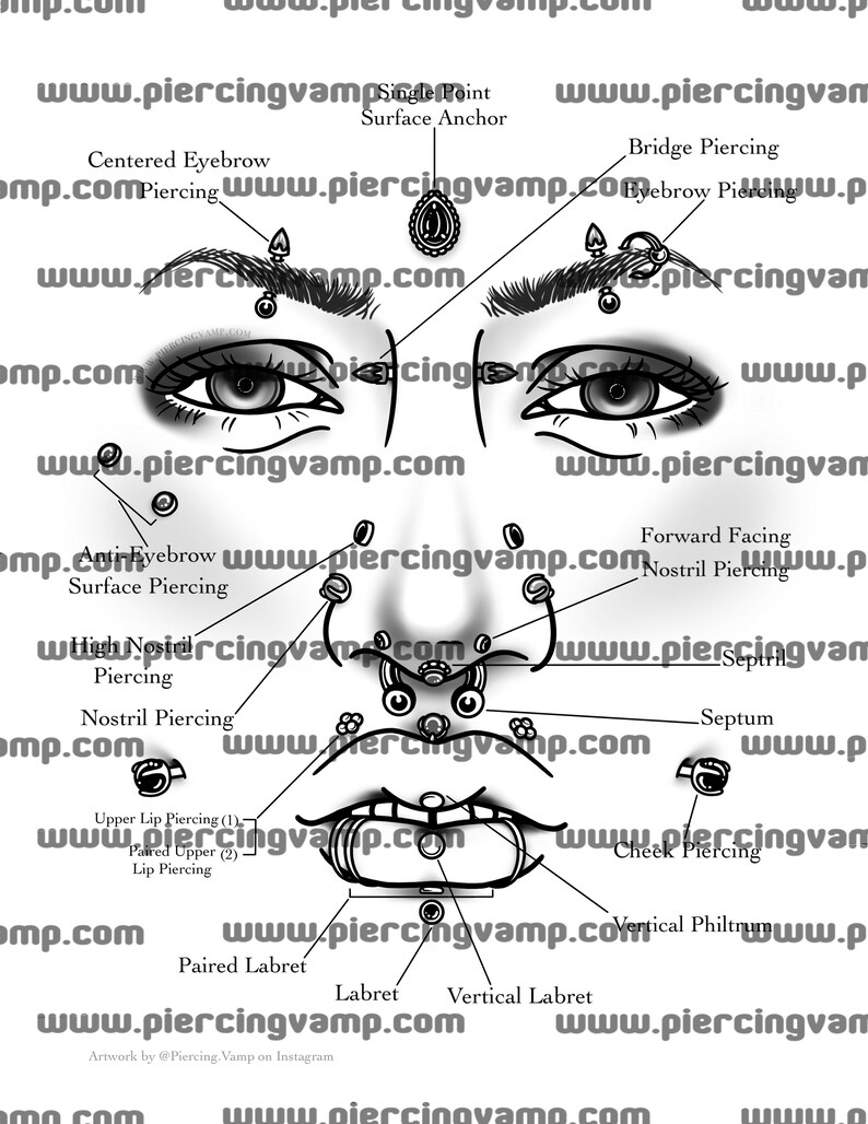 Face Piercing Chart (Download Now) Etsy