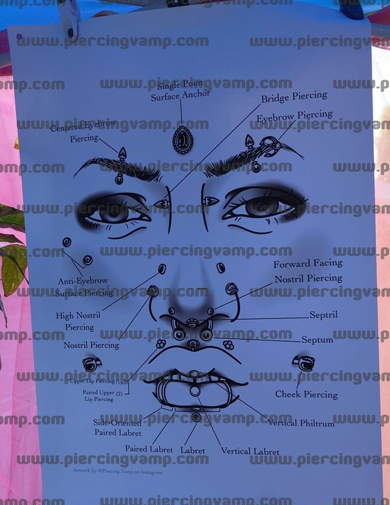 Face Piercing Chart (Download Now) Etsy