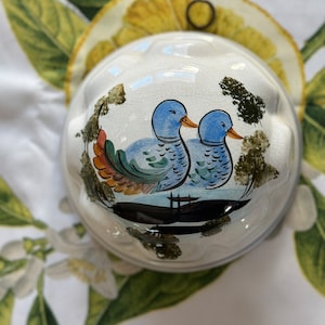 May include: A white ceramic bowl with a hand-painted design of two blue ducks on a lake. The bowl has a crackled glaze and is set against a floral background with a lemon slice.