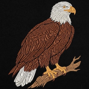 Puede incluir: Imagen bordada de un águila calva posada en una rama sobre un fondo negro. El águila presenta plumas marrones, cabeza blanca y pico y garras amarillas. La rama es marrón y el bordado tiene una apariencia texturizada.