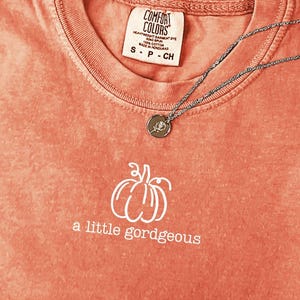 May include: A coral-colored t-shirt with a white pumpkin graphic and the phrase "a little gordgeous." A silver necklace with a circular pendant rests on the shirt. The shirt has a Comfort Colors tag.