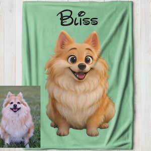 Custom Cartoon Pet Portrait Blanket from Photo, Personalized Dog Cartoon, Cat Custom Blanket, Custom Pet Cartoon, Portrait Cat Cartoon