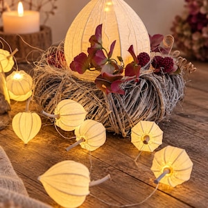 Physalis Blüte STL 3MF | 3D Druck Datei | Lichterkette | Herbstdeko | Florale Deko | Digitaler Download | Commercial License