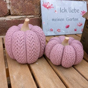 May include: Two dusty pink pumpkins with a textured knit pattern and light beige stems. Behind the pumpkins is a rectangular metal sign with a floral design and the German text "Ich liebe meinen Garten" printed in a dark gray font.