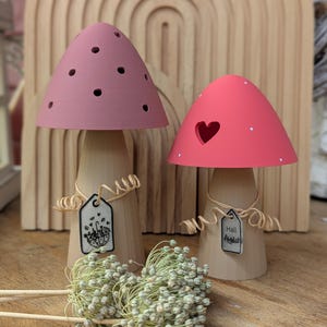 May include: Two wooden mushroom figurines with pink and coral caps. The pink mushroom has small holes, while the coral one has a heart-shaped cutout. Each has a tag with text and is tied with twine. A bundle of dried flowers rests in front.