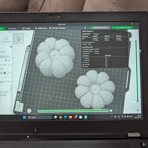 May include: A laptop screen displaying a 3D slicing software interface with two light gray pumpkin-shaped models on a digital build plate. The software window shows technical data including filament usage, print time, and various settings in German.