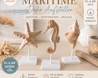 Nautical decorative displays – starfish, seahorse & shell | STL files for 3D printing Bambu Studio 3MF Decor Bathroom Summer Terrace