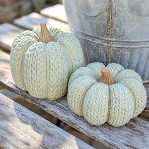 May include: Two decorative pumpkins featuring a light sage green color and a textured surface that mimics a knitted cable stitch pattern. Each pumpkin is topped with a smooth, light brown stem that has vertical ridges extending from the center.