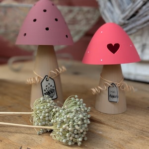 May include: Two decorative mushroom-shaped ornaments. One has a pink top with holes, the other has a red top with a heart-shaped cutout. Both have wooden stems and small tags. Dried flowers are in the foreground.