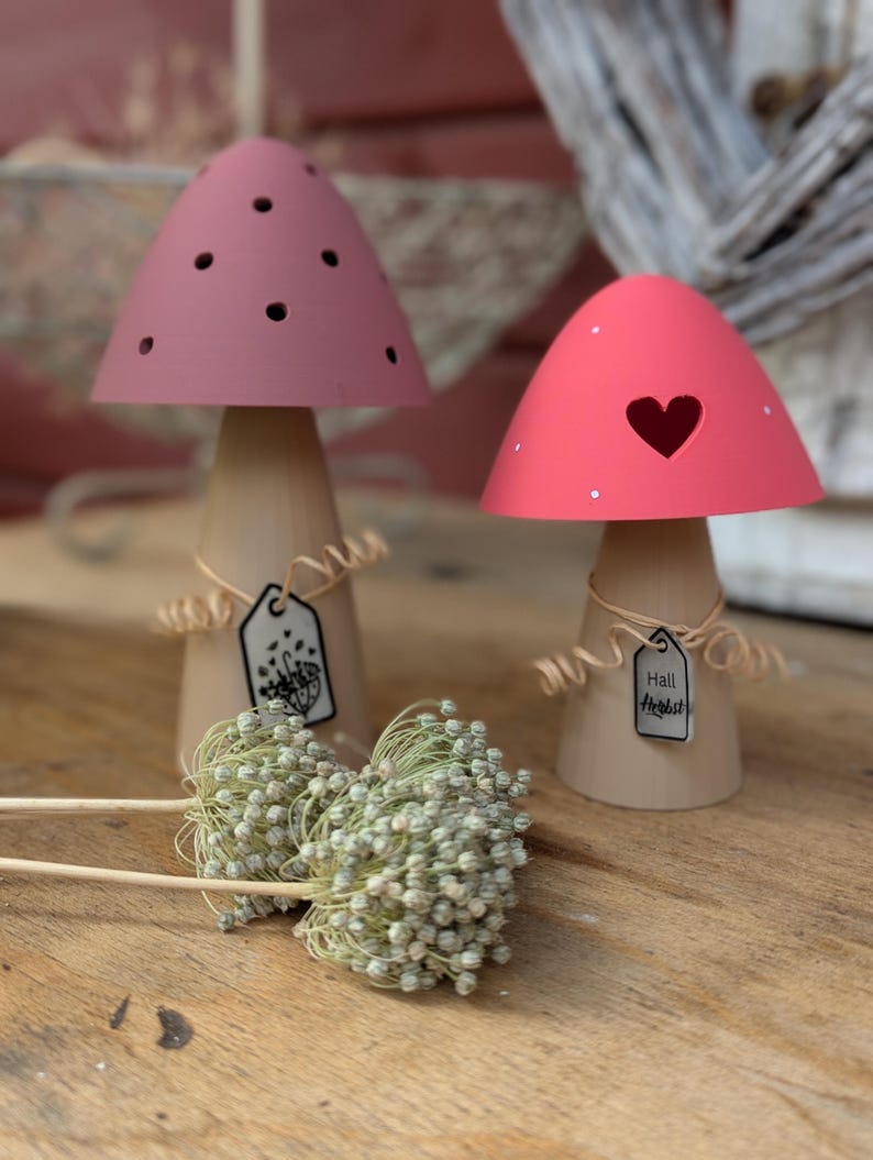 May include: Two decorative mushroom-shaped ornaments. One has a pink top with holes, the other has a red top with a heart-shaped cutout. Both have wooden stems and small tags. Dried flowers are in the foreground.