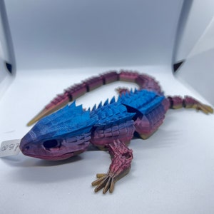 Red eyed Crocodile skink
