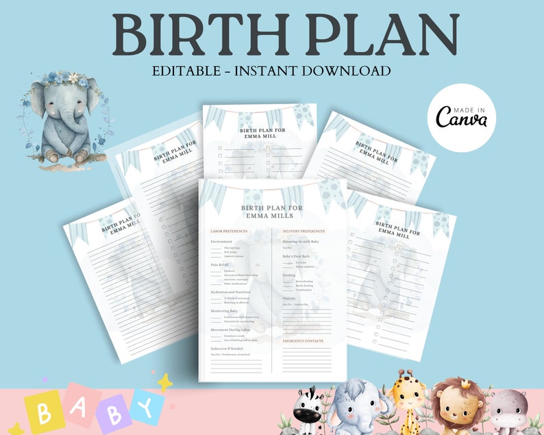 Editable Birth Plan Template Printable Birthing Plan Labour and ...